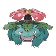 이상해꽃