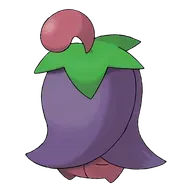 체리꼬