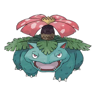 이상해꽃